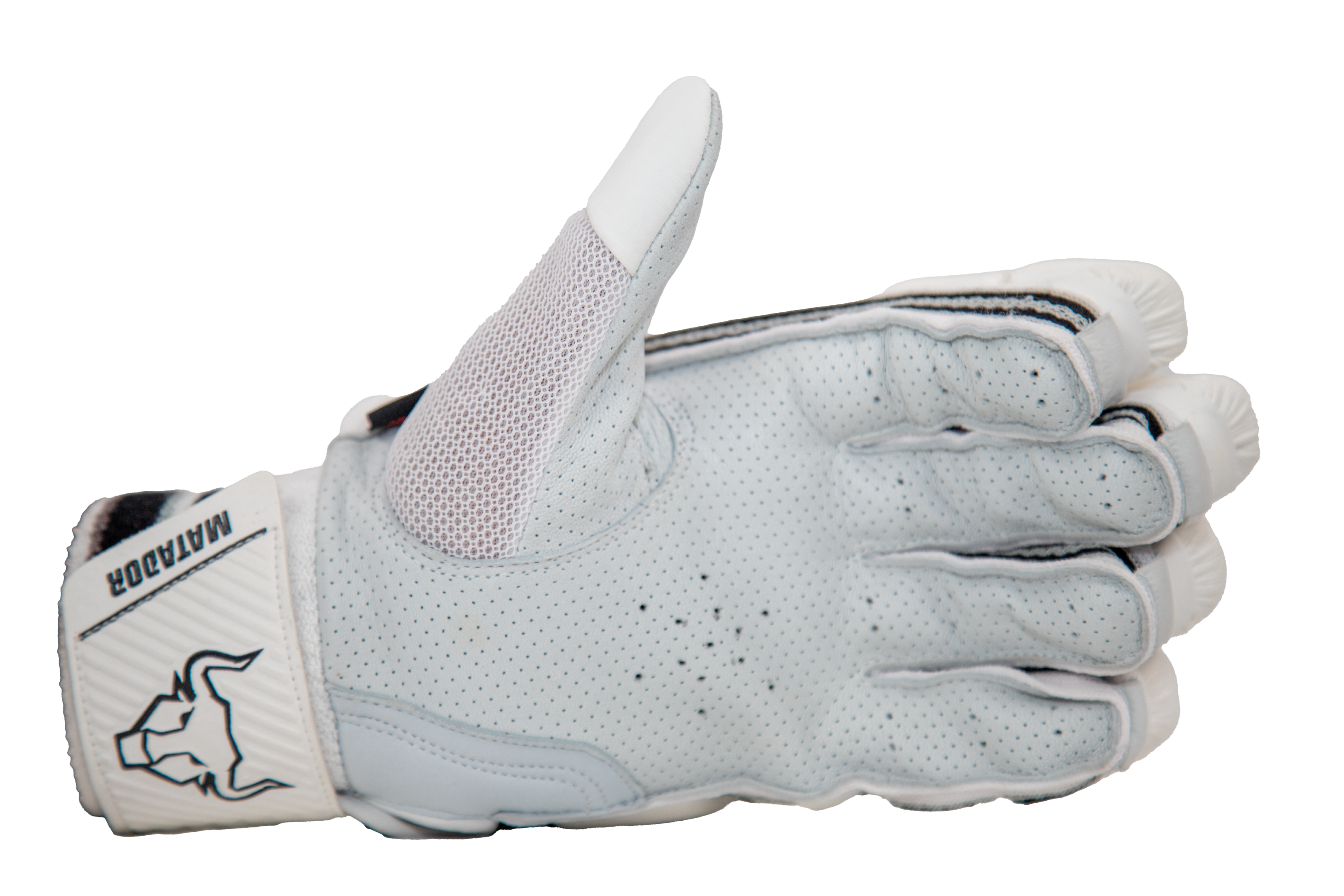 Legend Batting Gloves