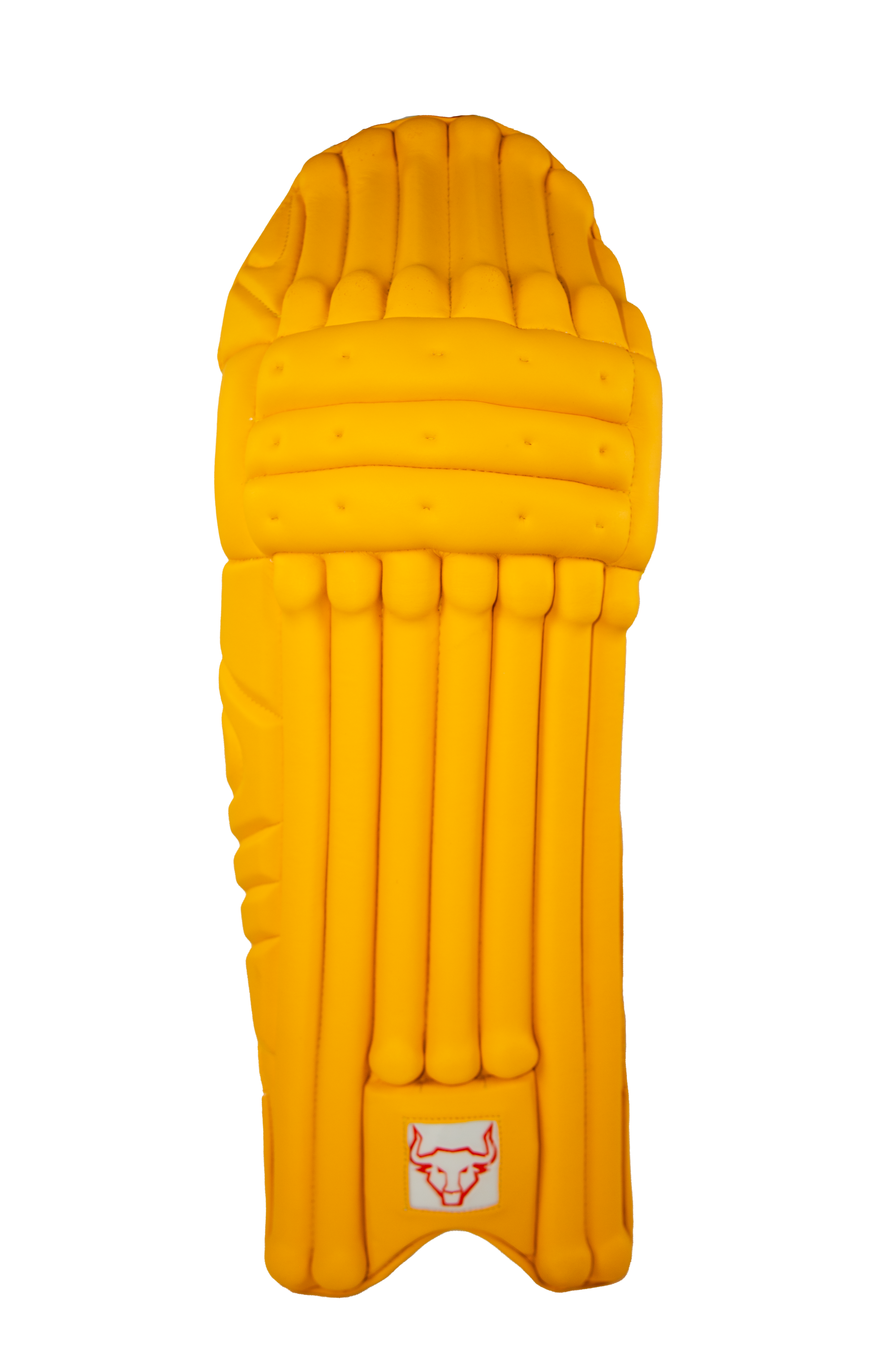 Coloured Batting Pads